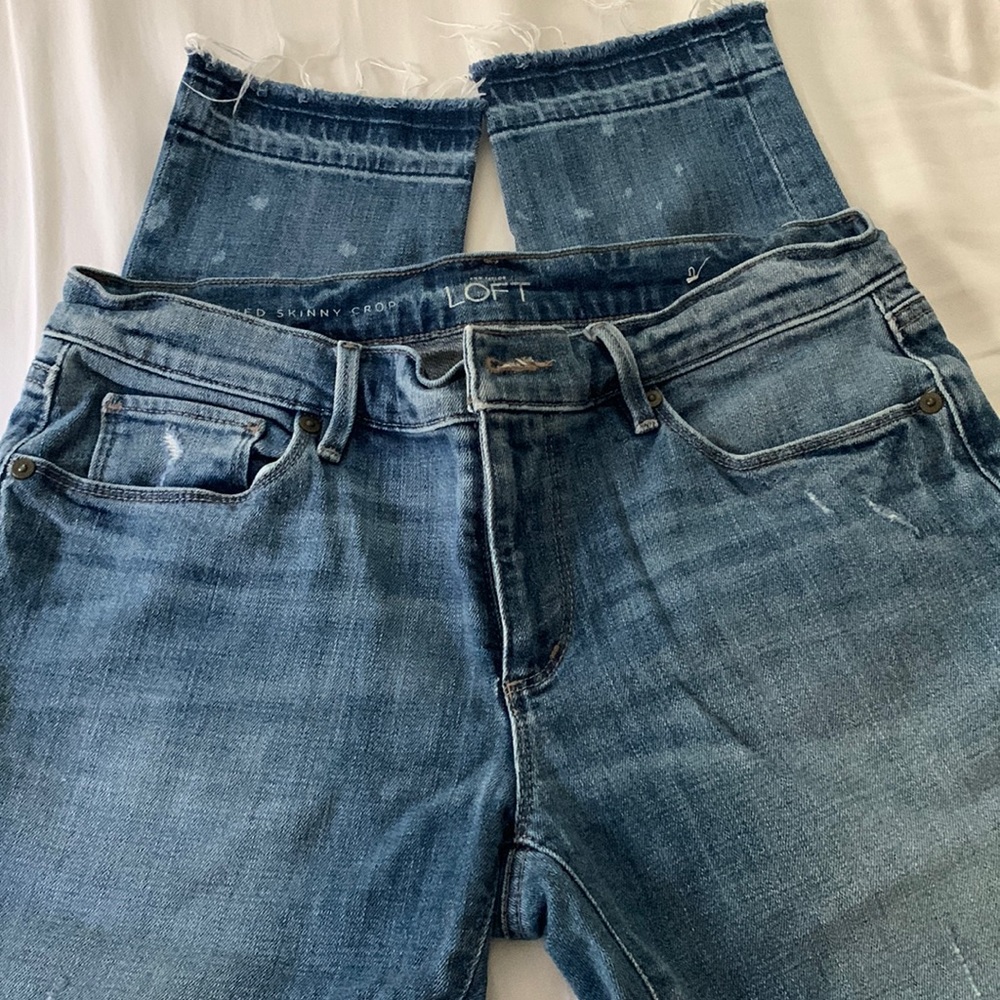 Ann Taylor Loft Relaxed Skinny Crop